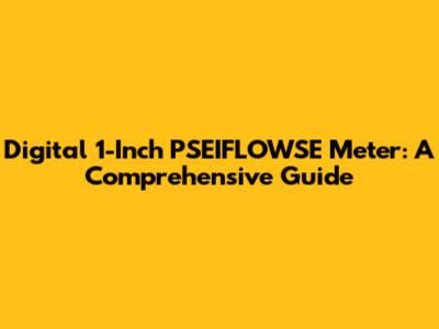 Digital 1-Inch PSEIFLOWSE Meter: A Comprehensive Guide