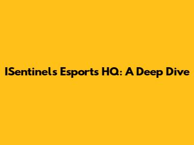 ISentinels Esports HQ: A Deep Dive