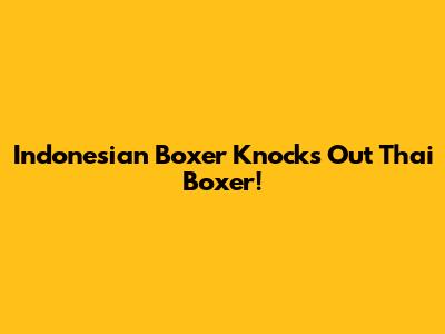 Indonesian Boxer Knocks Out Thai Boxer!