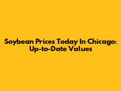 Soybean Prices Today In Chicago: Up-to-Date Values
